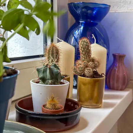 Bright & Spacious In Vibrant Friedrichshain ברלין